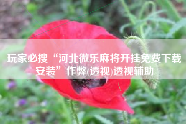 玩家必搜“河北微乐麻将开挂免费下载安装”作弊(透视)透视辅助