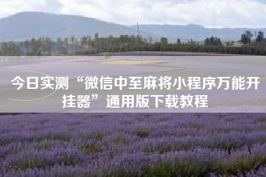 今日实测“微信中至麻将小程序万能开挂器”通用版下载教程