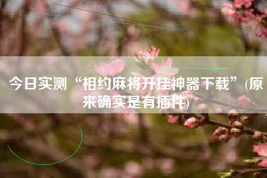 今日实测“相约麻将开挂神器下载”(原来确实是有插件)