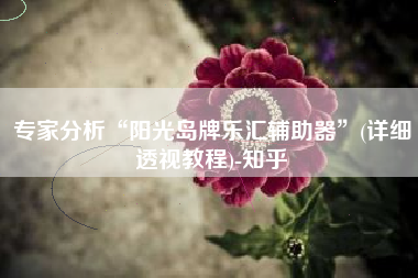 专家分析“阳光岛牌乐汇辅助器”(详细透视教程)-知乎
