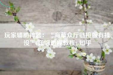 玩家辅助神器：“海草众厅链接版有挂没	”(详细透视教程)-知乎