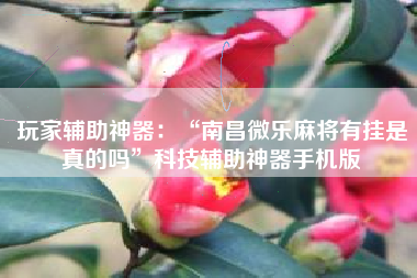 玩家辅助神器：“南昌微乐麻将有挂是真的吗”科技辅助神器手机版