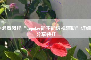 必看教程“wepoker能不能透视辅助”详细分享装挂