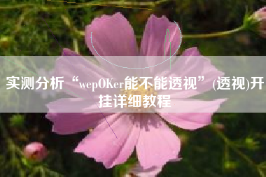 实测分析“wepOKer能不能透视	”(透视)开挂详细教程