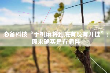 必备科技“手机麻将到底有没有开挂”(原来确实是有插件