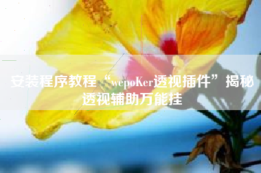 安装程序教程“wepoKer透视插件	”揭秘透视辅助万能挂