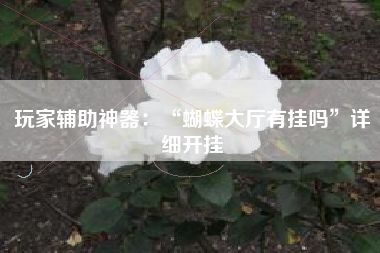 玩家辅助神器：“蝴蝶大厅有挂吗	”详细开挂