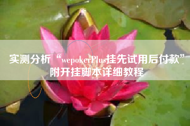 实测分析“wepokerPlus挂先试用后付款	”附开挂脚本详细教程