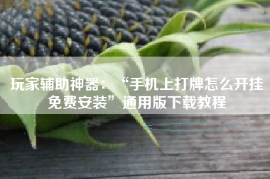 玩家辅助神器：“手机上打牌怎么开挂免费安装”通用版下载教程