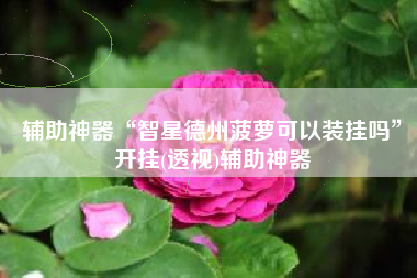 辅助神器“智星德州菠萝可以装挂吗	”开挂(透视)辅助神器