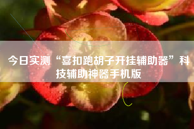 今日实测“喜扣跑胡子开挂辅助器	”科技辅助神器手机版
