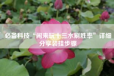 必备科技“闲来玩十三水刷胜率”详细分享装挂步骤