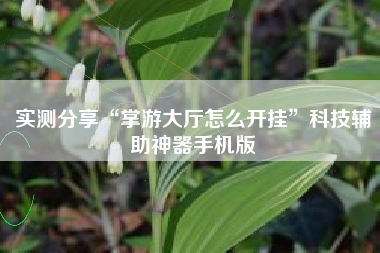 实测分享“掌游大厅怎么开挂”科技辅助神器手机版