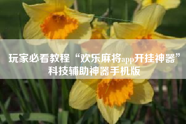 玩家必看教程“欢乐麻将app开挂神器”科技辅助神器手机版