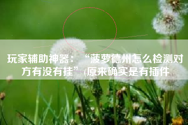 玩家辅助神器：“菠萝德州怎么检测对方有没有挂”(原来确实是有插件