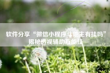 软件分享“微信小程序斗地主有挂吗”揭秘透视辅助万能挂