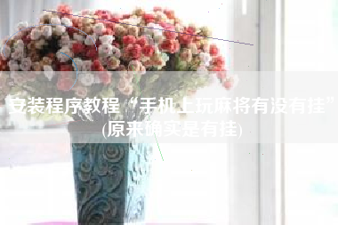 安装程序教程“手机上玩麻将有没有挂	”(原来确实是有挂)