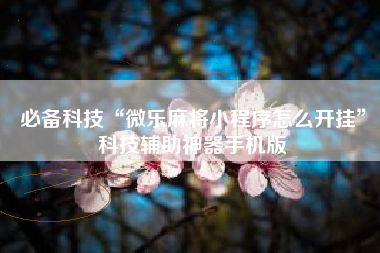 必备科技“微乐麻将小程序怎么开挂”科技辅助神器手机版