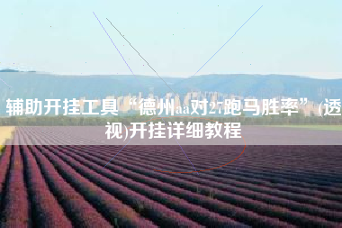 辅助开挂工具“德州aa对27跑马胜率”(透视)开挂详细教程