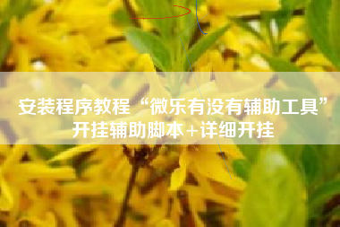 安装程序教程“微乐有没有辅助工具”开挂辅助脚本+详细开挂