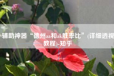 辅助神器“德州aa和ak胜率比	”(详细透视教程)-知乎