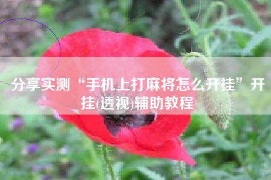 分享实测“手机上打麻将怎么开挂”开挂(透视)辅助教程