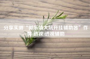 分享实测“微乐填大坑开挂辅助器	”作弊(透视)透视辅助