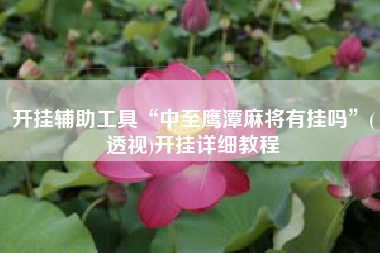 开挂辅助工具“中至鹰潭麻将有挂吗”(透视)开挂详细教程