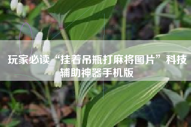 玩家必读“挂着吊瓶打麻将图片	”科技辅助神器手机版