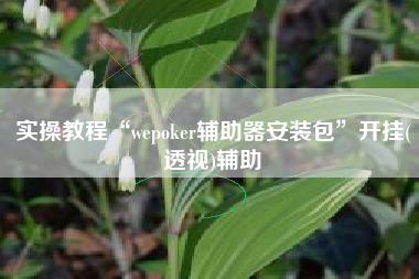 实操教程“wepoker辅助器安装包”开挂(透视)辅助