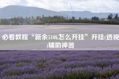 必看教程“新余510k怎么开挂”开挂(透视)辅助神器