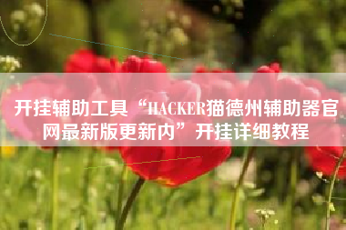 开挂辅助工具“HACKER猫德州辅助器官网最新版更新内”开挂详细教程