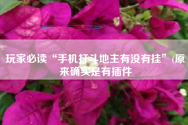 玩家必读“手机打斗地主有没有挂”(原来确实是有插件