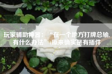 玩家辅助神器：“在一个地方打牌总输,有什么办法”(原来确实是有插件