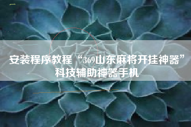 安装程序教程“369山东麻将开挂神器	”科技辅助神器手机