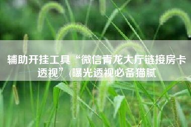 辅助开挂工具“微信青龙大厅链接房卡透视”(曝光透视必备猫腻