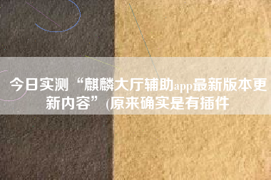 今日实测“麒麟大厅辅助app最新版本更新内容”(原来确实是有插件