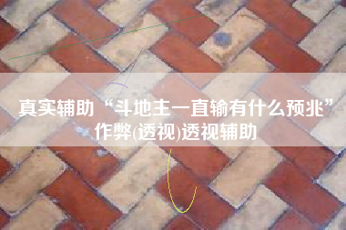 真实辅助“斗地主一直输有什么预兆”作弊(透视)透视辅助