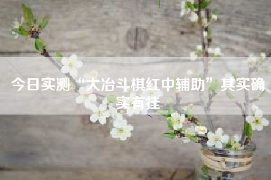 今日实测“大冶斗棋红中辅助	”其实确实有挂