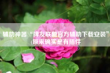 辅助神器“牌友联盟官方辅助下载安装”(原来确实是有插件