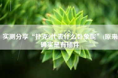 实测分享“扑克9代表什么卦象呢”(原来确实是有插件