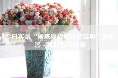 今日实测“闲来麻将可以装挂吗”辅助器 - 实时智能回复