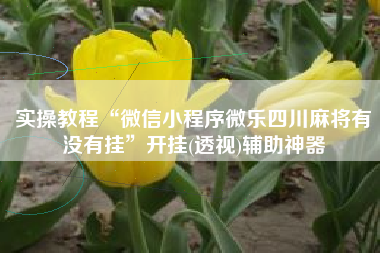 实操教程“微信小程序微乐四川麻将有没有挂”开挂(透视)辅助神器