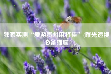 独家实测“爱游贵州麻将挂	”(曝光透视必备猫腻