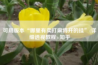 可用版本“哪里有卖打麻将开的挂	”(详细透视教程)-知乎