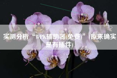 实测分析“WPK辅助器(免费)	”(原来确实是有插件)