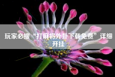 玩家必搜“打麻将外卦下载免费	”详细开挂