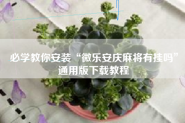 必学教你安装“微乐安庆麻将有挂吗”通用版下载教程