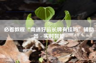 必看教程“南通好运长牌有挂吗	”辅助器 - 实时智能
