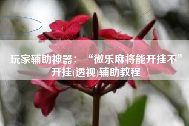 玩家辅助神器：“微乐麻将能开挂不	”开挂(透视)辅助教程